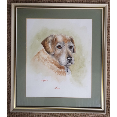 90 - A 20th Century Watercolour of a dog. 'Sam' by B Walsh. Signed LL. 39 x 31 cm approx.