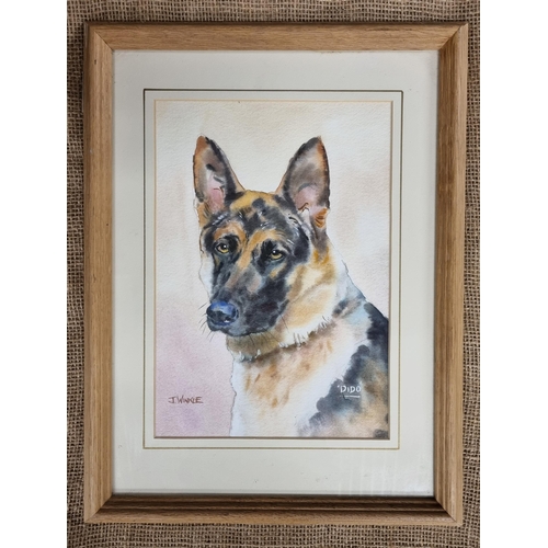 107 - After J Winkle. A 20th Century Watercolour of a German Shepherd along with a signed coloured print o... 