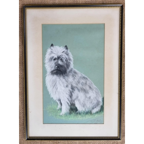 424 - A 20th Century Pastel of a long haired terrier, signed Butler lower right along with a pencil drawin... 