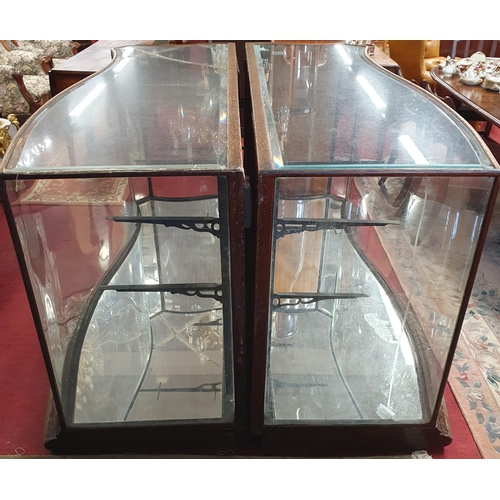 1072 - A 19th Century low shop Display with serpentine outline, with glass shelves. (glass cracked on top).... 