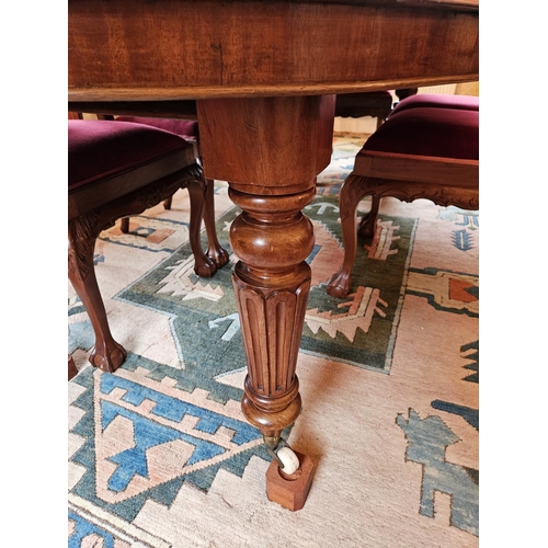 1135 - A good Victorian design two leaf Dining Table on turned tulip reeded supports.
H 72 x W  118 x L 224... 