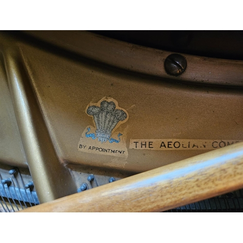 263 - A good Steck Baby Grand Piano made by the Aeolian Company Ltd.