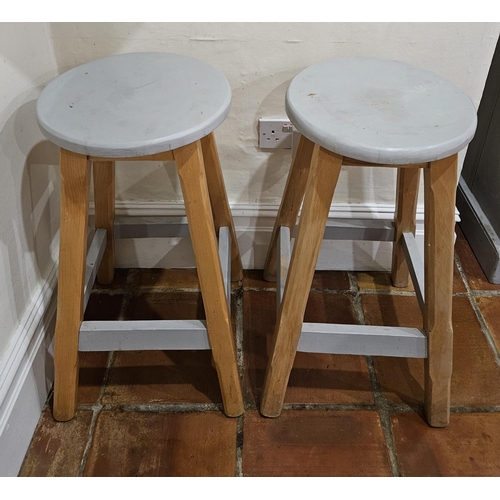 442 - A good pair of Hardwood Stools with circular painted tops.