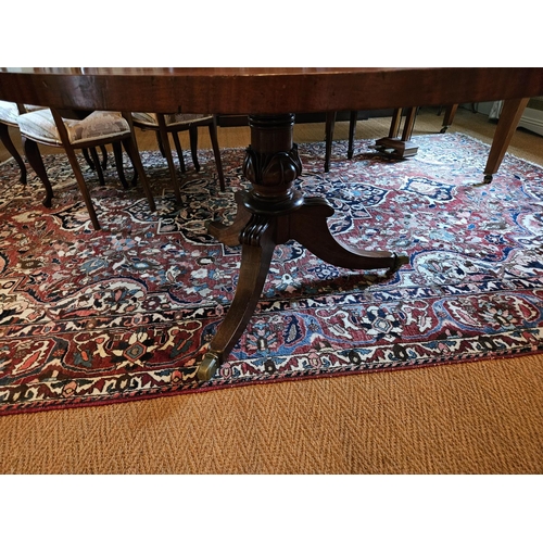 623 - A Regency Mahogany circular Supper Table of neat form on tripod support. D 133 x H 72 cm approx.