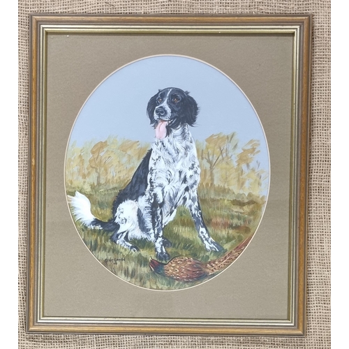 720 - A 20th Century Watercolour of a spaniel by Gerry Gaston signed lower left. 30 x 25 cm approx.