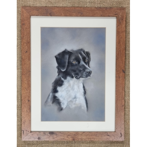 721 - A 20th Century Pastel of a Dog,  signed J. Mila lower left. 33 x 21 cm approx.