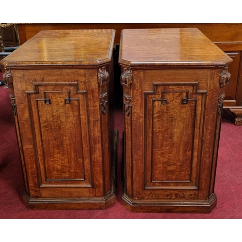 727 - A good pair of 19th Century Satinwood bedside Cabinets with single door fronts. W 45 x 61 x H 74 cm ... 