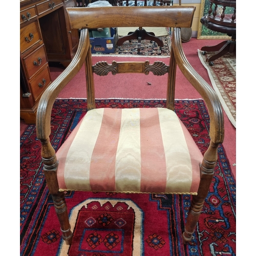 735 - A lovely Regency Mahogany Carver Chair with highly carved centre back on turned supports. W 52 x SH ... 