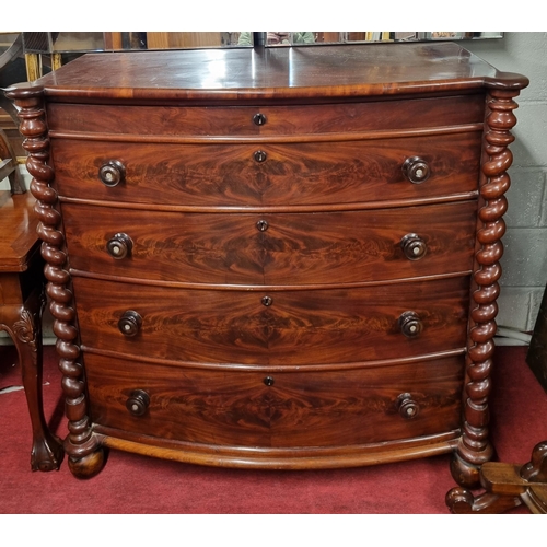 880 - A Superb early 19th Century Mahogany bow front Chest of Drawers with barley twist column supports an... 