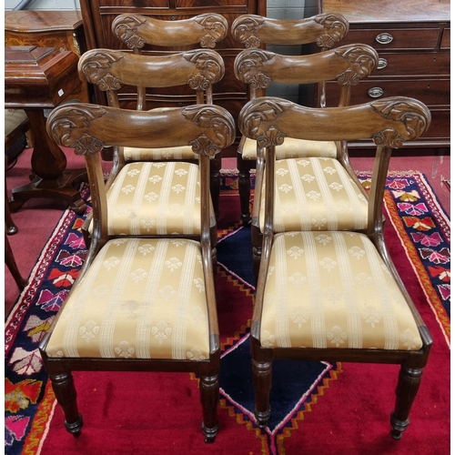 1054 - A good set of William 1Vth Mahogany Dining Chairs with backs and turned acanthus leaf front supports... 