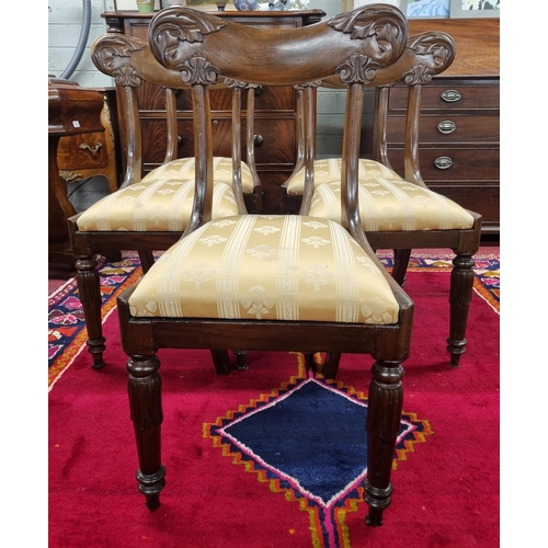 1054 - A good set of William 1Vth Mahogany Dining Chairs with backs and turned acanthus leaf front supports... 