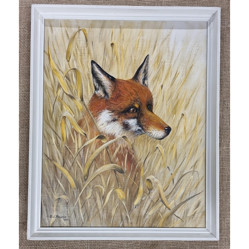 751 - D J Pearce. A mid 20th Century Oil on Board of a fox in a cornfield. Signed LL. 50 x 40 cm approx.