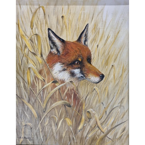 751 - D J Pearce. A mid 20th Century Oil on Board of a fox in a cornfield. Signed LL. 50 x 40 cm approx.