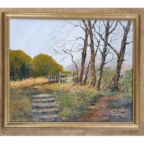 758 - An Oil on Canvas of an autumnal landscape by K Laurence. Signed lower right. 50 x 60 cm approx.