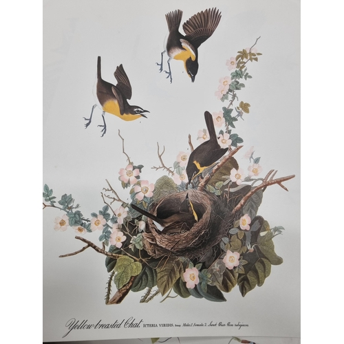 246 - The Audubon folio of colour Prints of great bird Paintings.