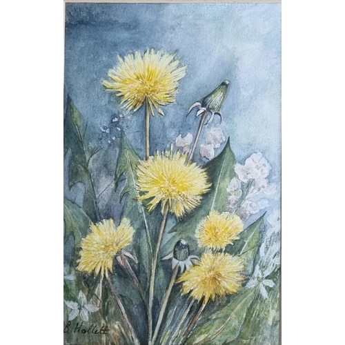 206 - A 20th Century Watercolour of Dandelions by B Hallett. Signed LL. 21 x 14 cm approx.