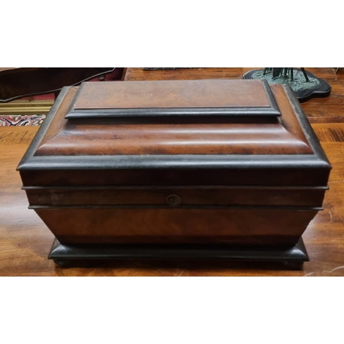 217 - Of Superb quality. A 19th Century Mahogany and Ebonised sarcophagus shaped Tea Caddy. 35 x 17 x H 21... 