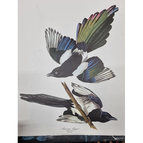 246 - The Audubon folio of colour Prints of great bird Paintings.