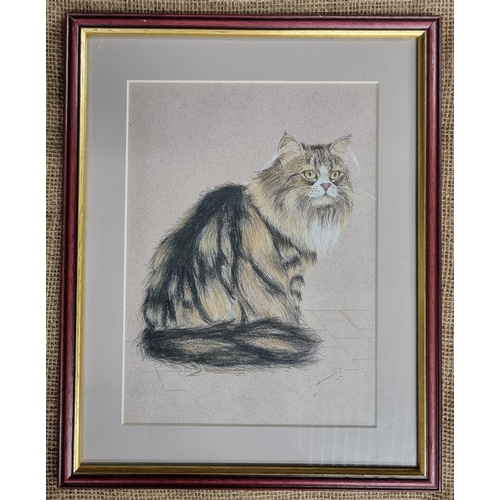 457 - A Crayon Drawing of a cat along with a Watercolour of a cat. No apparent signature.