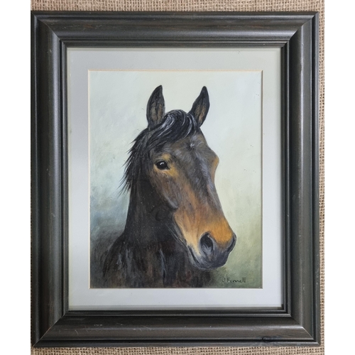 464 - A 20th Century Watercolour and Pastel of the head of a Horse by J Funnel. In an ebonised frame. Sign... 