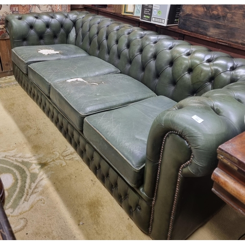 536 - A large three seater Chesterfield Sofa with green upholstery.(slight odour) W 227 cm approx.