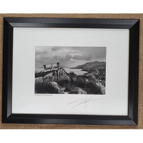 1094 - Two limited edition Photographs by Giles Norman. 'Sheep and Trees Co Kerry' and 'Beara Peninsula'. B... 