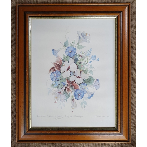 72 - After C Holden. A limited edition coloured Print still life of Hibiscus. 57 x 47 cm approx.