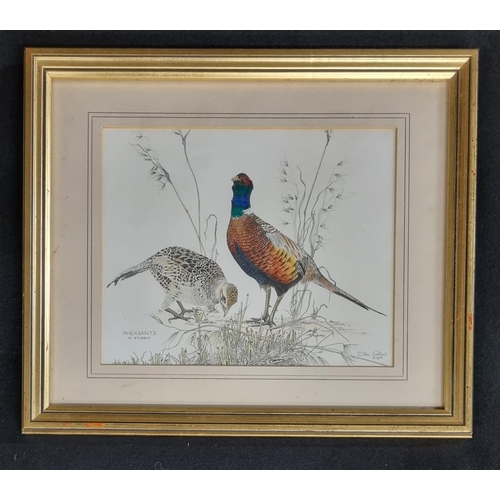 84 - 'Pheasants in stubble' A coloured Print. 30 x 36 cm approx.