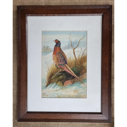 87 - A Watercolour of a Pheasant on a tree stump by G Newport. In an original oak reeded frame. Signed LL... 