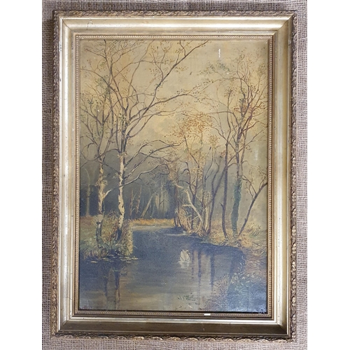 92 - A late 19th early 20th Century Oil on Canvas of a Swan in a river setting. 50 x 35 cm approx.