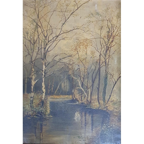 92 - A late 19th early 20th Century Oil on Canvas of a Swan in a river setting. 50 x 35 cm approx.