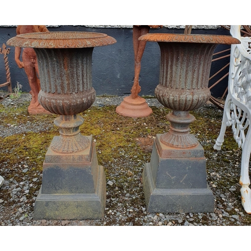 949 - A Lovely pair of Cast Iron Garden Urns on Plinths.
Height 70 cm approx.