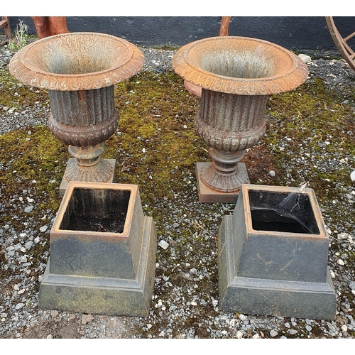 949 - A Lovely pair of Cast Iron Garden Urns on Plinths.
Height 70 cm approx.