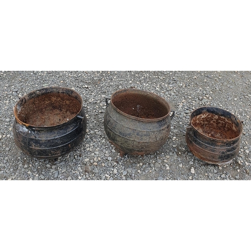 950 - A Group of 19th Century Skillet pots as found.
Largest D 32 cm approx.