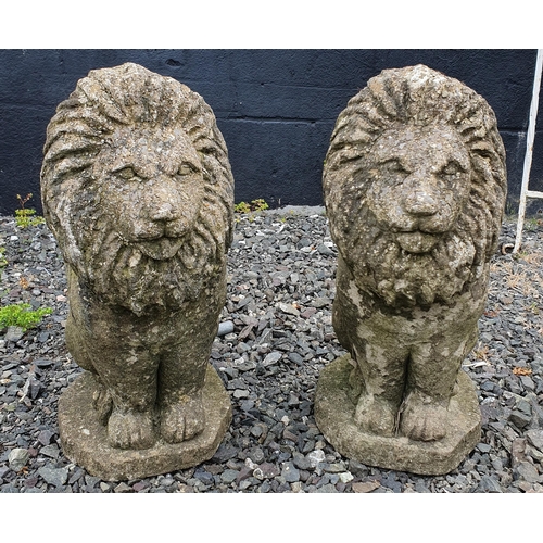 952 - A Pair of  Reconstituted Stone Garden Statue of Lions.
Height 53 cm approx.