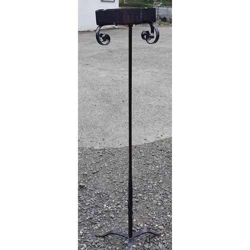 962 - A Set of tall Iron Garden Plant Stands. Height 127 cm approx.