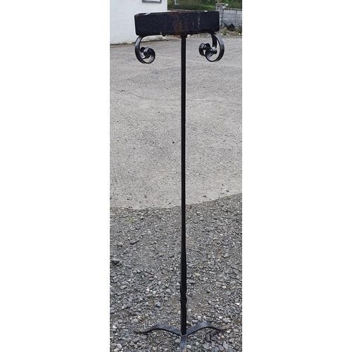 22 - A Set of tall Iron Garden Plant Stands. Height 127 cm approx.