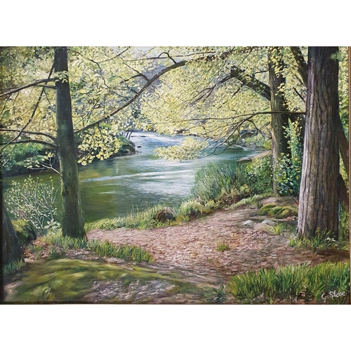 A 20th Century springtime Oil on Board by G Stone of a river flowing through. Signed LR. 45 x 60 cm approx.