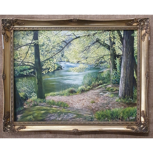 44 - A 20th Century springtime Oil on Board by G Stone of a river flowing through. Signed LR. 45 x 60 cm ... 