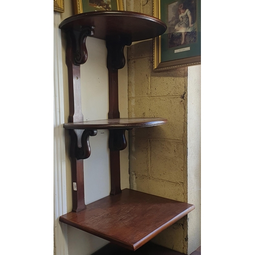 101 - A 19th Century Mahogany three tier Shelves. H 91 cm approx.