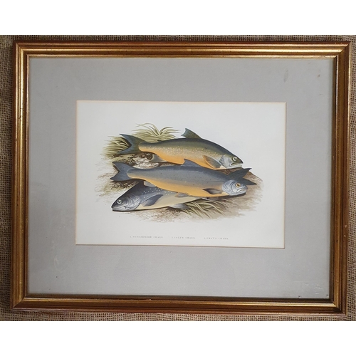 480 - A 19th Century coloured Print of Charr. 42 x 52 cm approx.