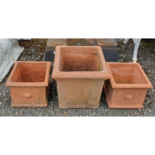31 - Three square terracotta Pots.
Largest H 35 x W 35 x D 35 cm approx.