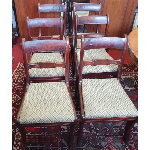 723 - A set of six early 19th Century Mahogany dining Chairs with sabre leg front and carved centre back. ... 