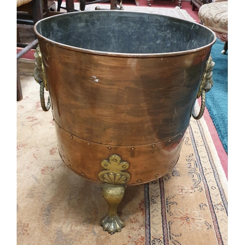 72 - A Fantastic 19th Century Irish Coal Bin with brass lions head handles, ball and claw feet and copper... 