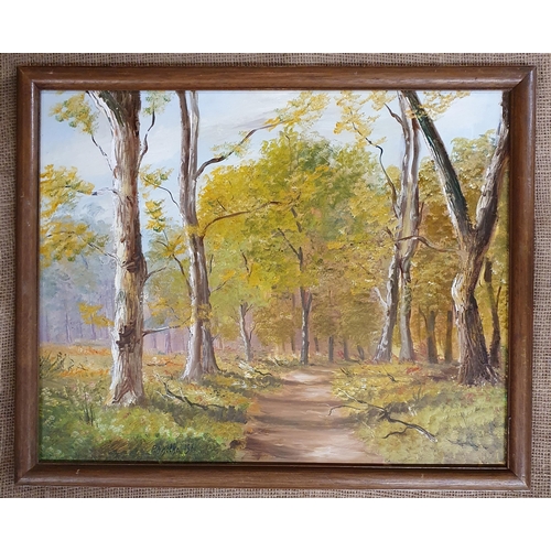 75 - A 20th Century Oil on Board of a forest country path. Signed LR. PA Kotka. 40 x 50 cm approx.