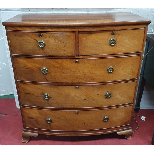 82 - A 19th Century Mahogany bow fronted Chest of Drawers with two short over three long on splayed ogee ... 