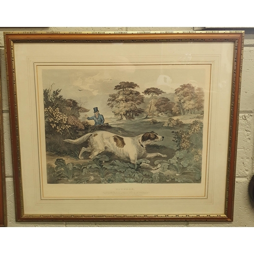 100 - A good pair of coloured Engravings of Hunting scenes for September and October after an original pic... 