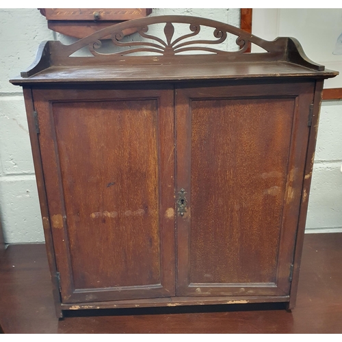 119 - A late 19th early 20th Century Mahogany two door Wall Cabinet. 54 x 19 x H 62 cm approx.