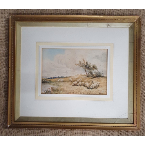 134 - W Jones, and early 20th Century Watercolour of sheep beside a pond, signed LR and dated 1909.
21 x 3... 