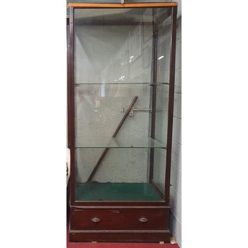 67 - A large 19th Century tall display Cabinet with single door. 95 x 62 x H 215 cm approx.